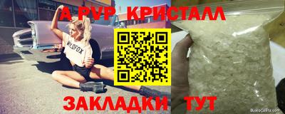 шишки Конаково
