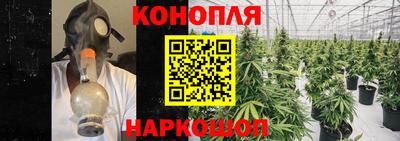 spice Коммунар
