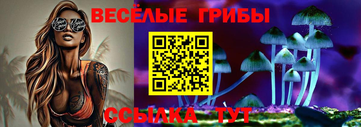 Псилоцибиновые грибы Psilocybe Кстово